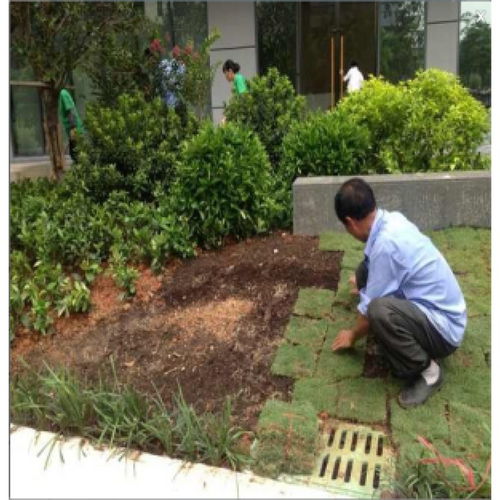 沙溪鎮園林綠化工程施工與養護